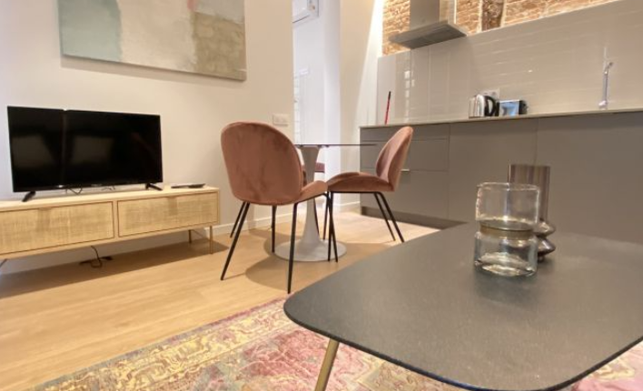 apartment from day apartment for rent for companies in Madrid La Latina